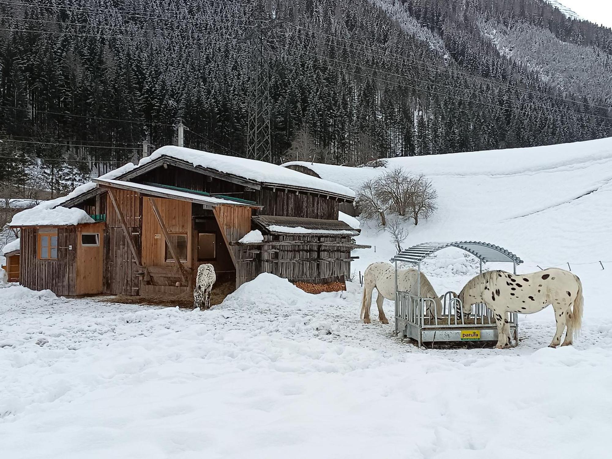 Villa Burgerhof à Pettneu am Arlberg Extérieur photo